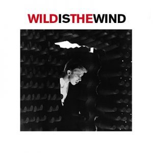 STATION TO STATION WILD IS THE WIND